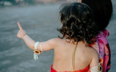 Is Shri Krishna a Rebel or an Evolutionary?